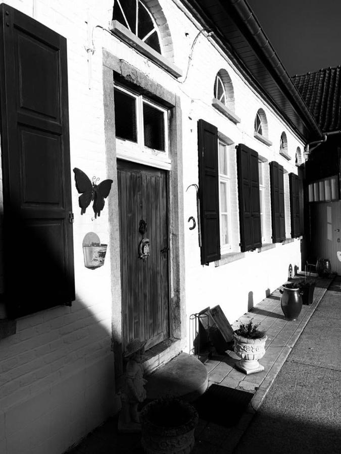 'T Hof Van Cremers Geraardsbergen Exteriér fotografie